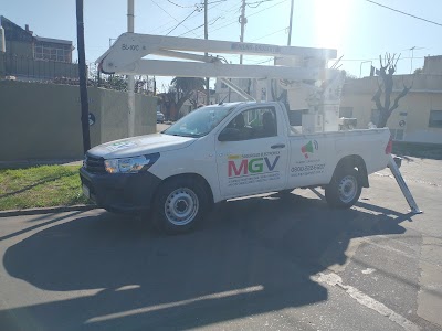 Mgv Seguridad Srl