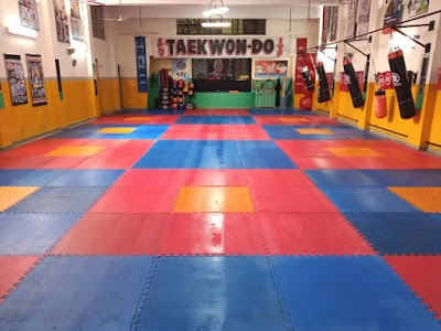 IFAT - Instituto Formativo Académico de Taekwondo