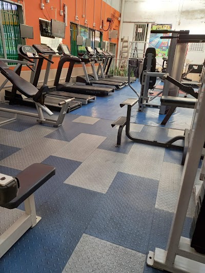 MP Gym