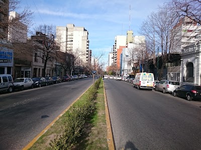 Alquiler de Autos Para Eventos