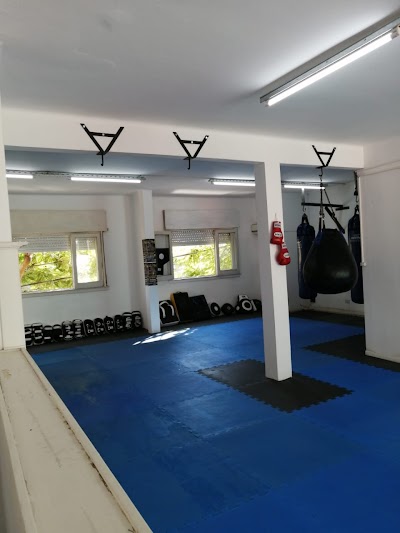 KMT Fight Lab