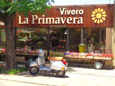 Vivero la Primavera