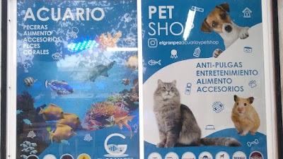 El Gran Pez - Acuario y Petshop