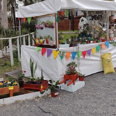 Flores y Espinas