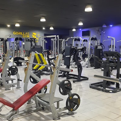 Gorilla’s Gym