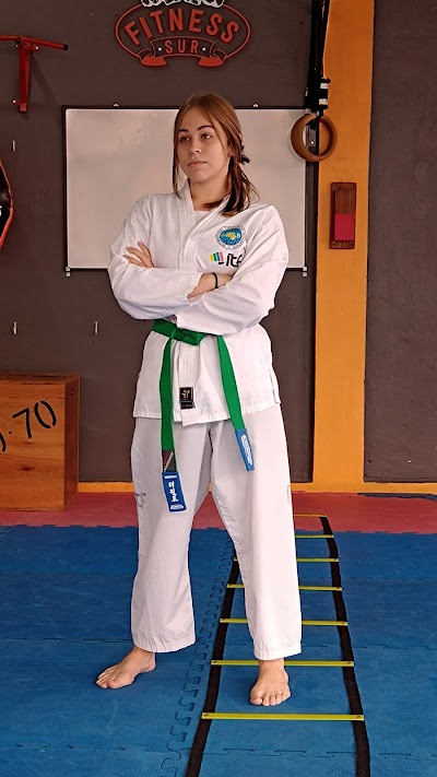 TAEKWONDO ATRA SUR