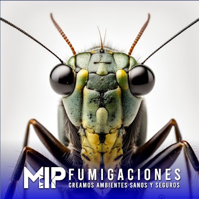 Fumigaciones Monte Grande | MIP