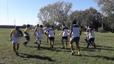 Almirante Brown Rugby