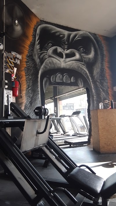 Animal gym Fitness Club