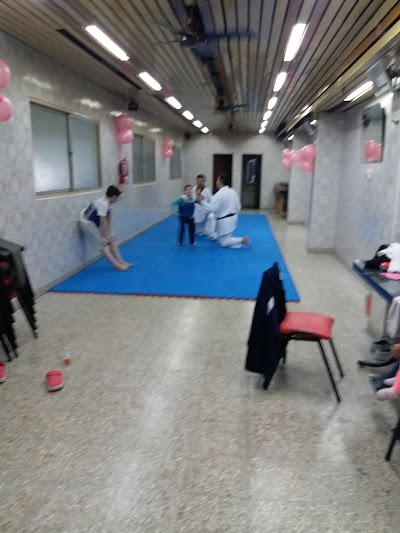 Karate-Do Shotokan. Deportivo del Sud