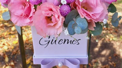 Florería Güemes