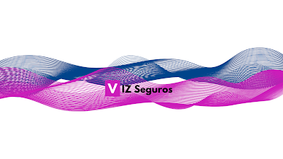 Viz Seguros