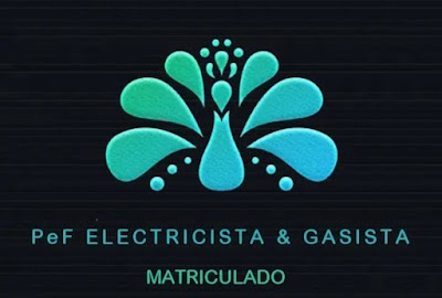 PeF ELECTRICISTA Y GASISTA MATRICULADO