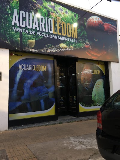 Ledom Acuario