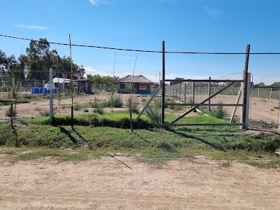 Aikido en el Campo Dojo