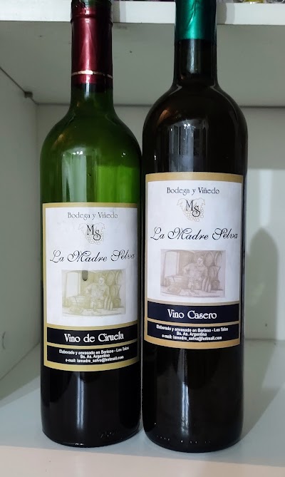 Bodega y viñedo La Madre Selva