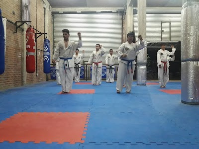 Taekwon-do Maximo Paz