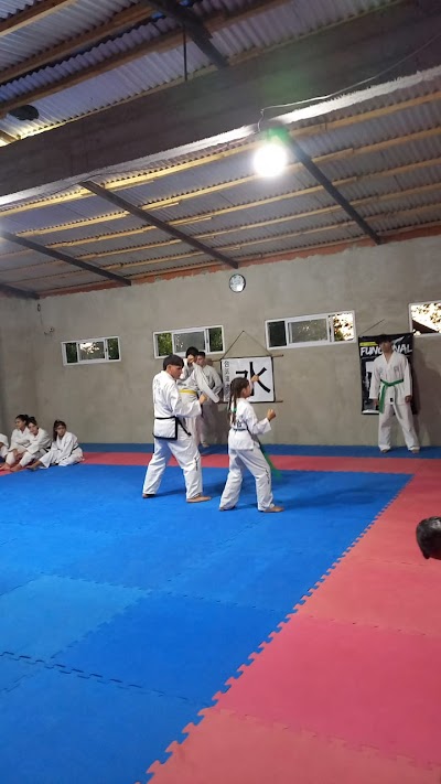 Centro de difucion de las artes marciales MILU'S GYM