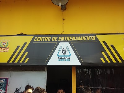 Asociación Panamericana de Artes Marciales