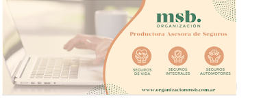 Organización MSB - Seguros Integrales