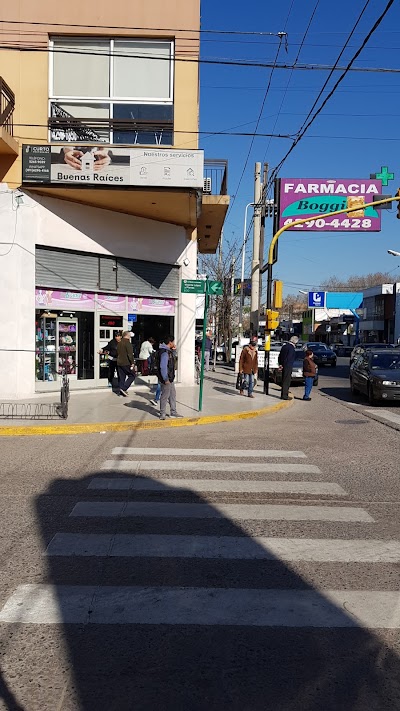 Farmacia Nueva Boggian