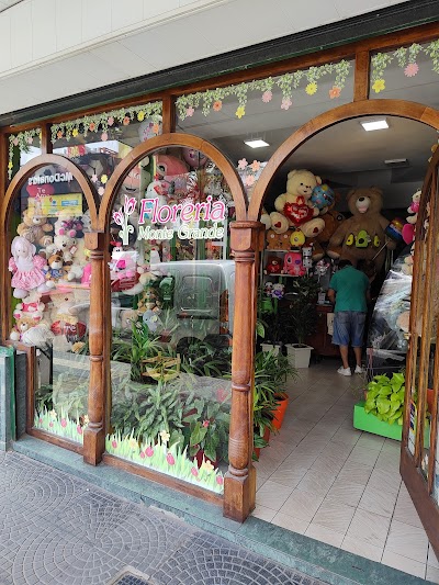 Monte Grande florist