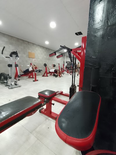 Andrea Gym