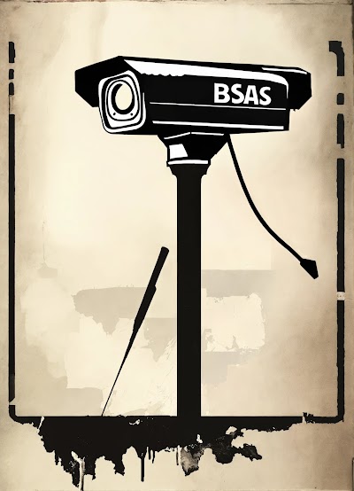 BSAS Seguridad electronica