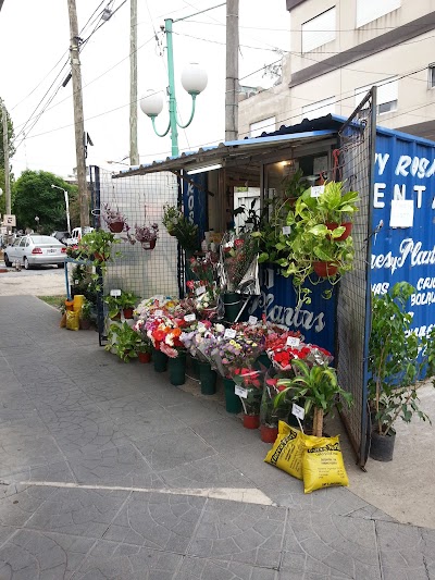 Puesto de Flores y Pantas SERGIO