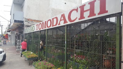 Vivero Tomodachi