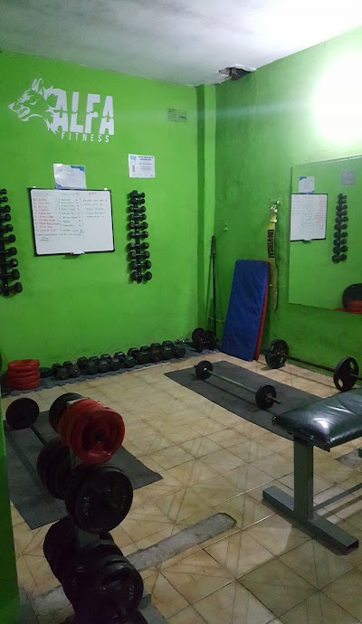 Alfa Fitness