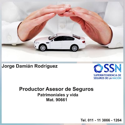 PRODUCTOR ASESOR DE SEGUROS