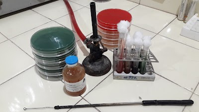 Laboratorio Bioquimico Dra Fallesen