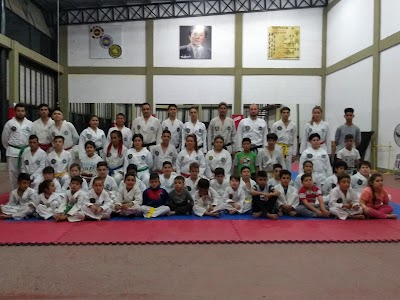 TAEKWONDO GRUPO DF