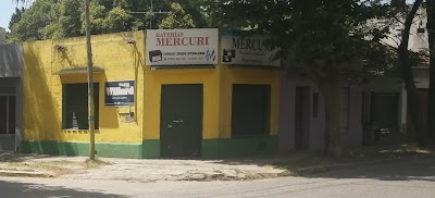 Baterias Mercuri