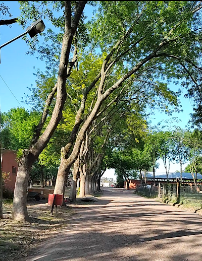 Escuela de Educación Secundaria Agraria Nro 1 de San Vicente