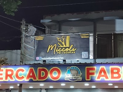 Miccoli san vicente