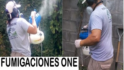 Fumigaciones One