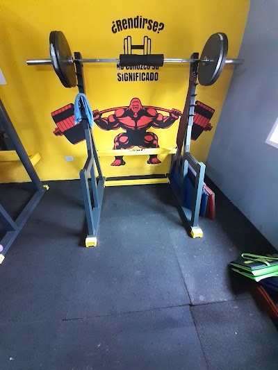 Gorilas gym