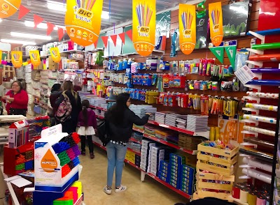 LIBRERIA DEL CENTRO