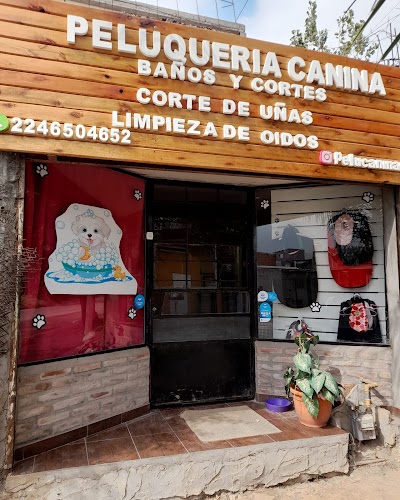 Peluquería Canina