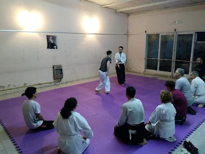 AIKIDO y IAIDO Kaizen Dojo VI