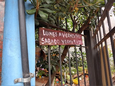 Tienda de Plantas Lazos de Amor