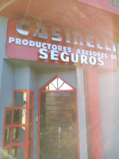 Organizacion Casinelli