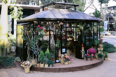 Hiedra Tienda de Flores Leloir