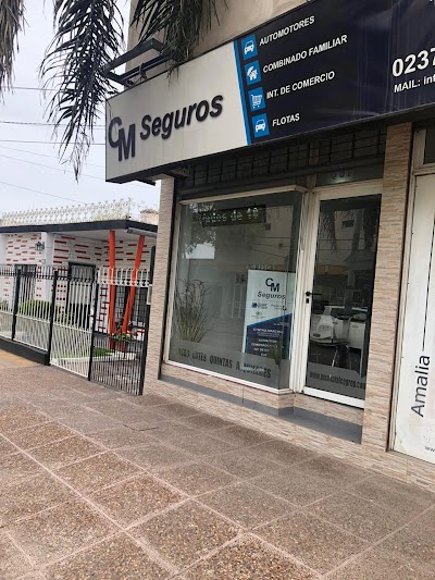 CM SEGUROS