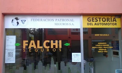 SEGUROS FALCHI