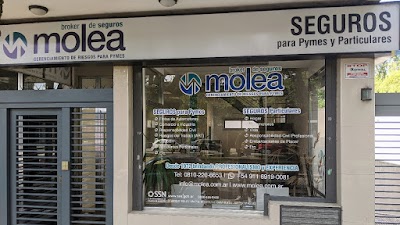 Molea Broker de Seguros