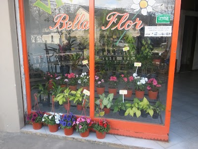 VIVERO "Bella Flor"