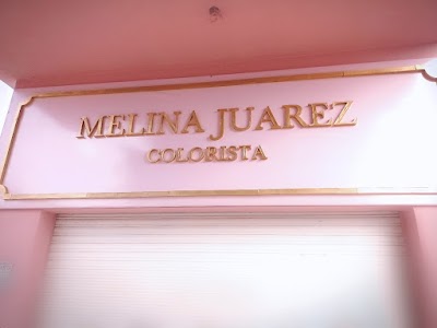 Melina Juarez Colorista